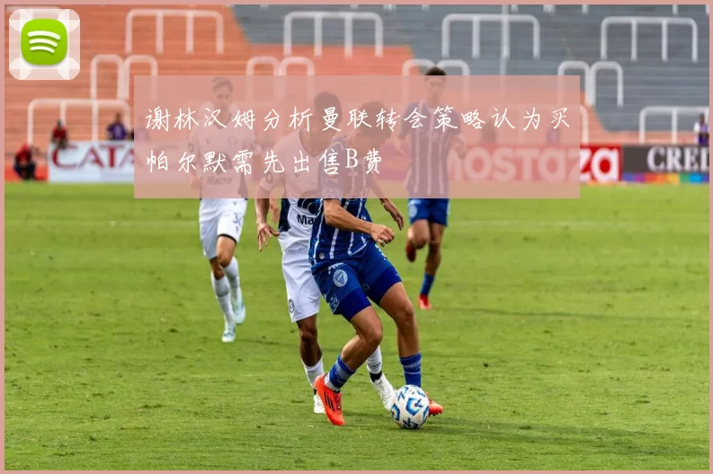 谢林汉姆分析曼联转会策略认为买帕尔默需先出售B费