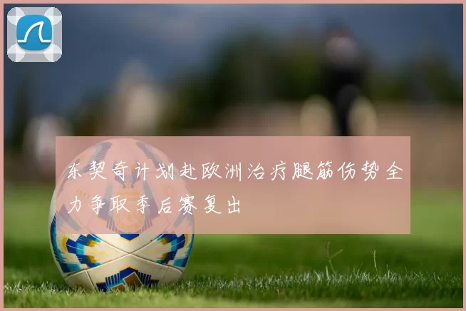 东契奇计划赴欧洲治疗腿筋伤势全力争取季后赛复出